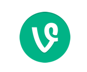 Vine Introduces Full Profiles On The Web And TV Mode For Full Screen Viewing