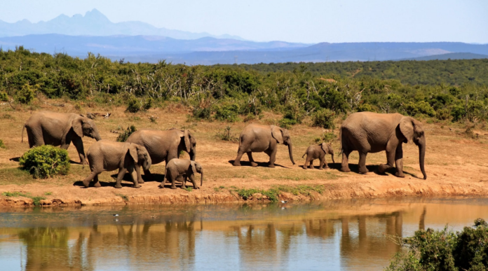 Boosting Sustainable Tourism in Africa
