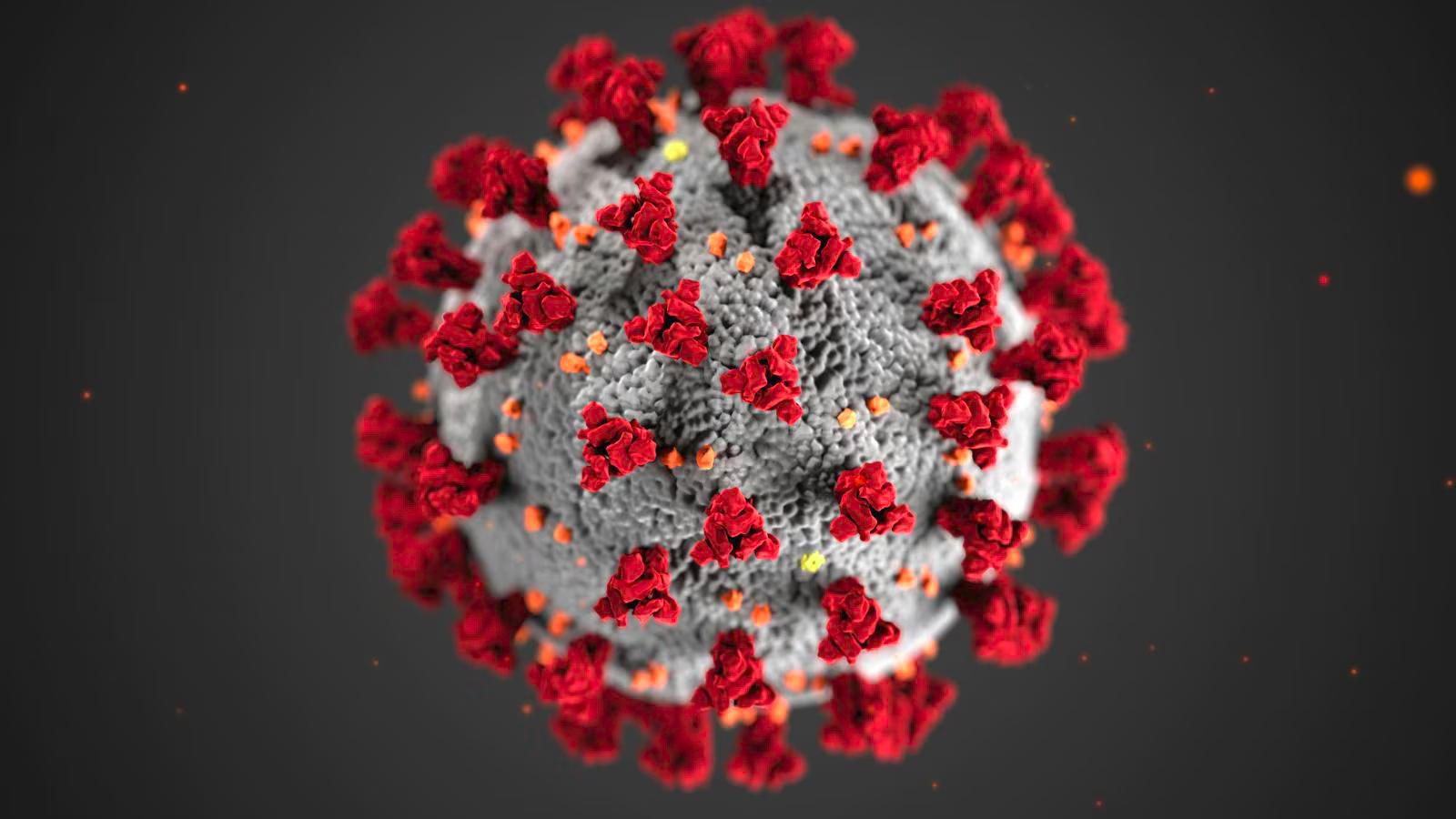 HMPV Outbreak in China: Are We Facing Another COVID-19-like Crisis?